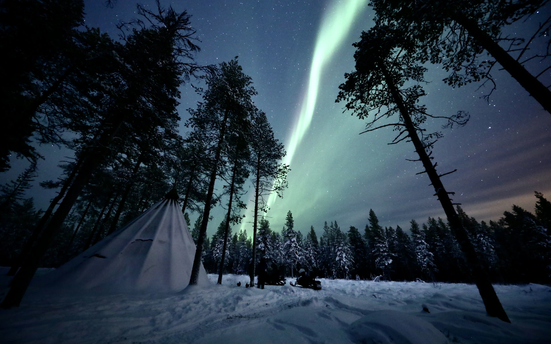 Vihreät revontulet Rovaniemen lumisen metsän yllä